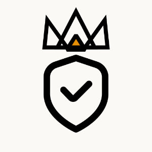 Verzekerd verzonden logo